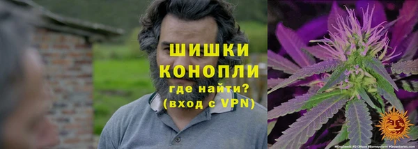 крисы Бронницы
