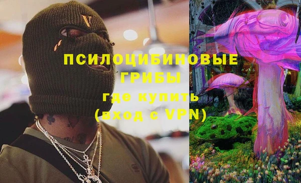 крисы Бронницы