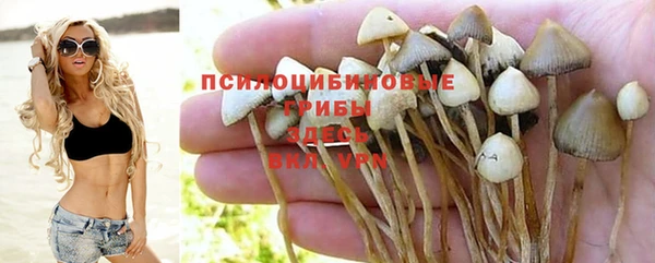 mix Бородино
