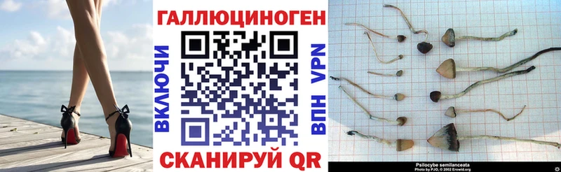 Псилоцибиновые грибы прущие грибы  Купить  Амурск 